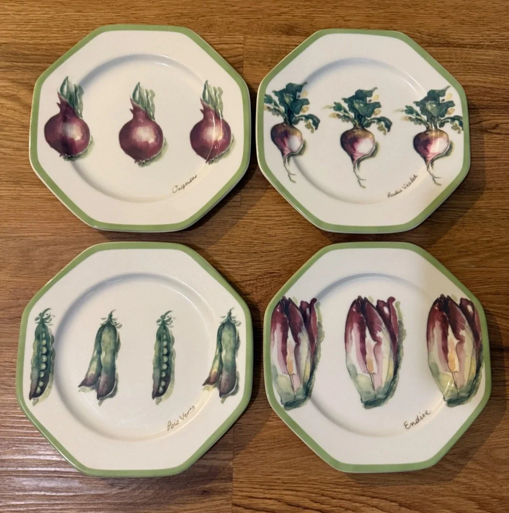 🥬 Williams-Sonoma Vegetable Garden Salad Plates – Set of 4 – 8.25